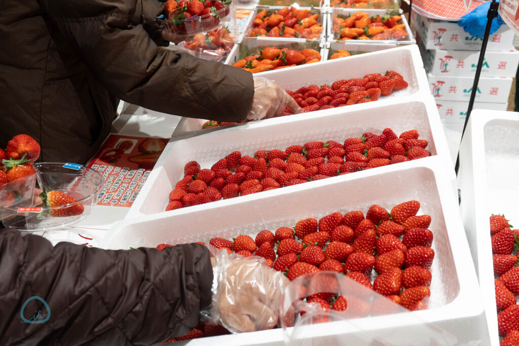 いちごを摘まむ人