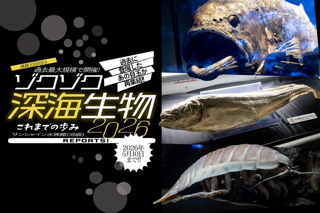 サンシャイン水族館　ゾクゾク深海生物　サムネール