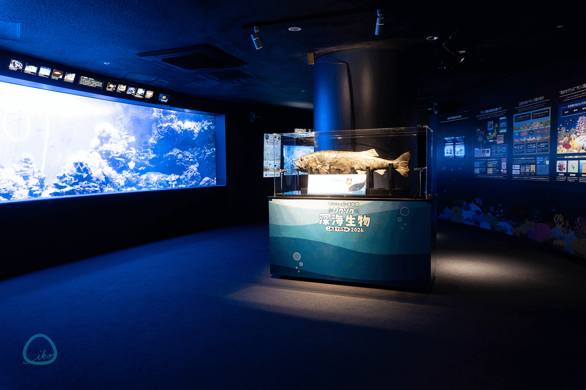 サンシャイン水族館　ゾクゾク深海生物　会場風景