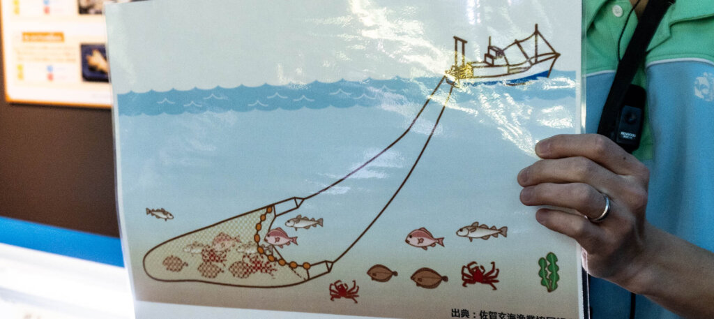 底引き網の図