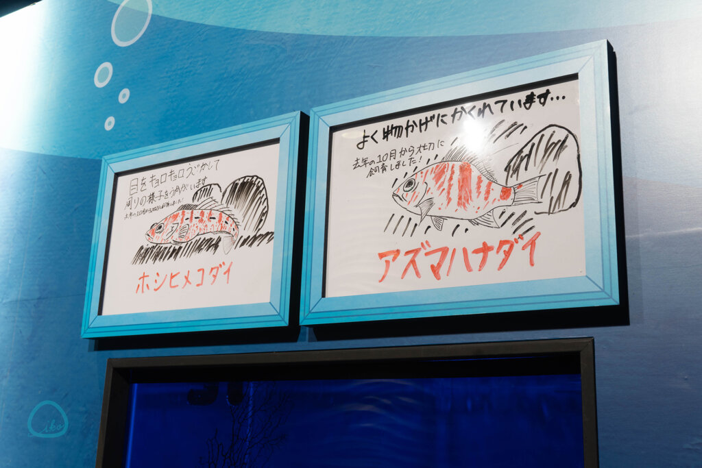 手書きのポップ