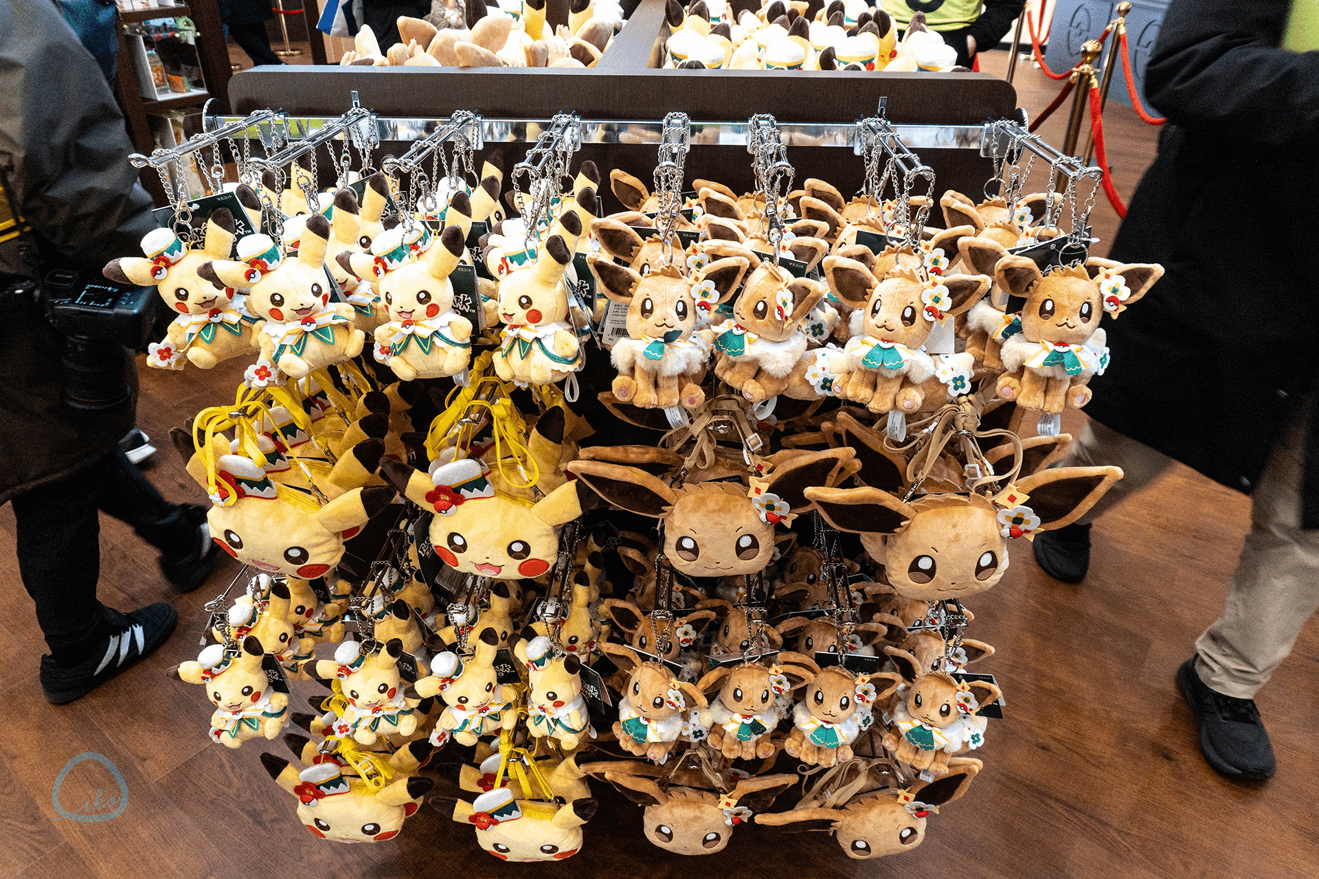 ポケパーク カントー 限定アイテム