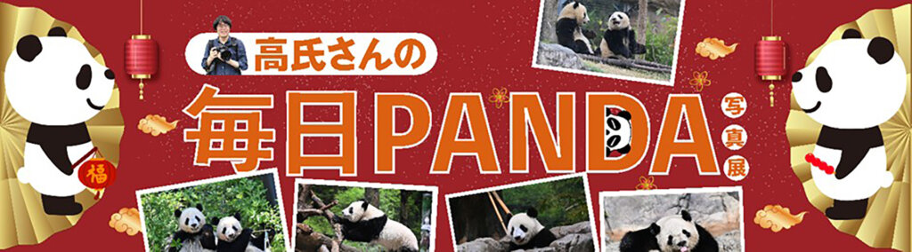 毎日PANDA バナー