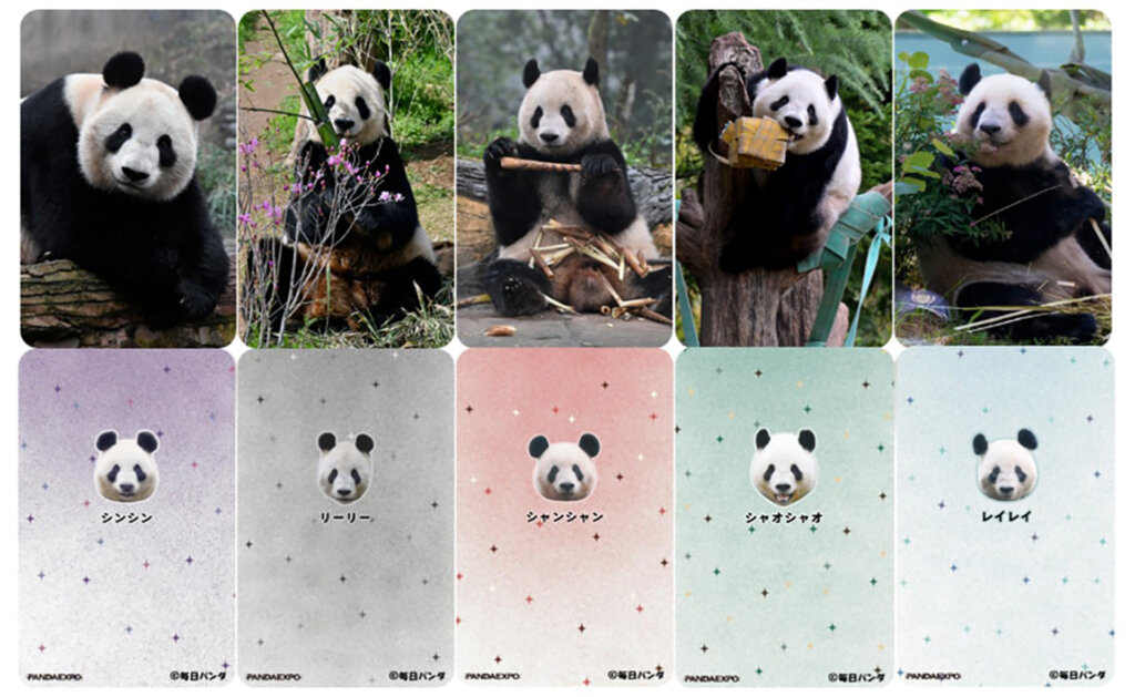 パンダのしおり