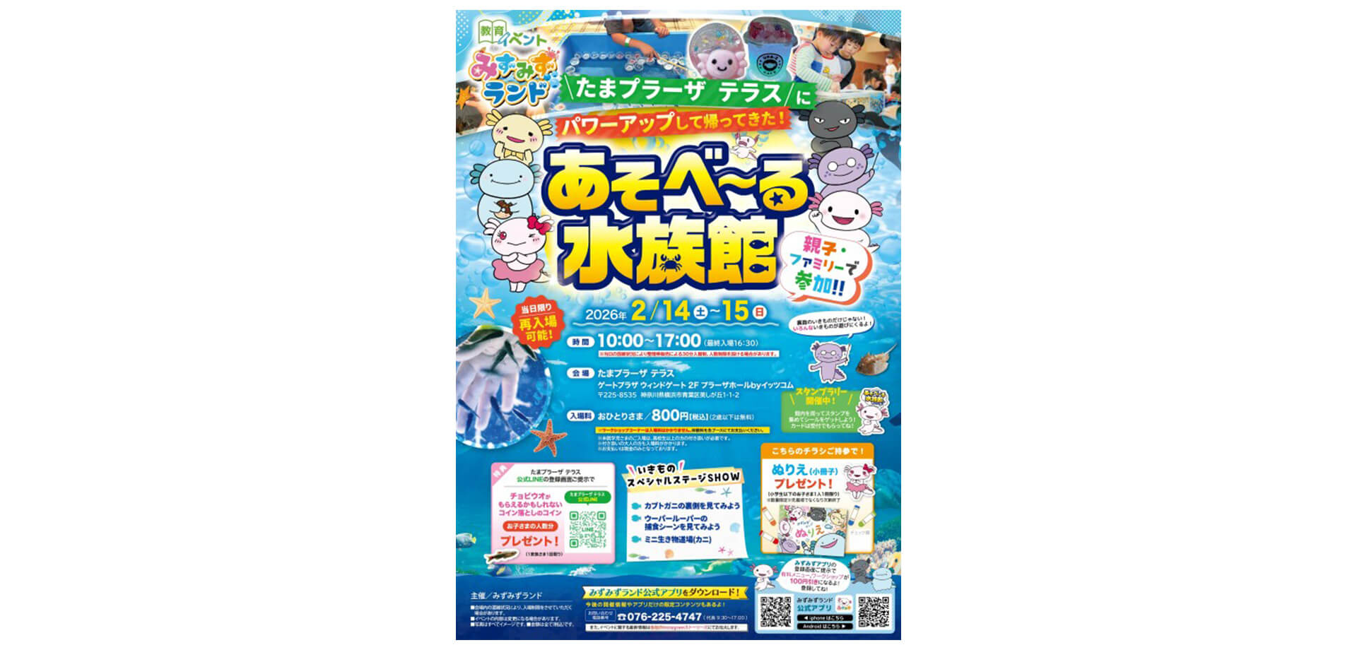 あそべ～る水族館 チラシ