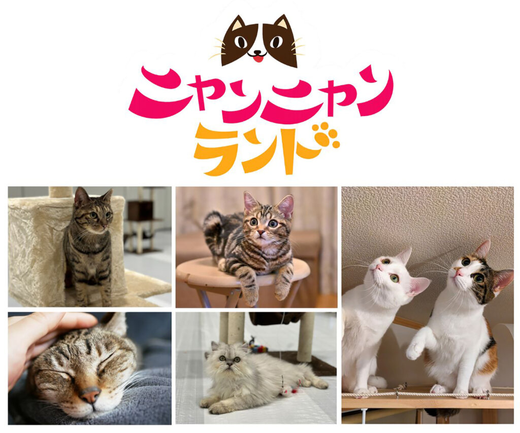 ニャンニャンランドロゴ　猫たち