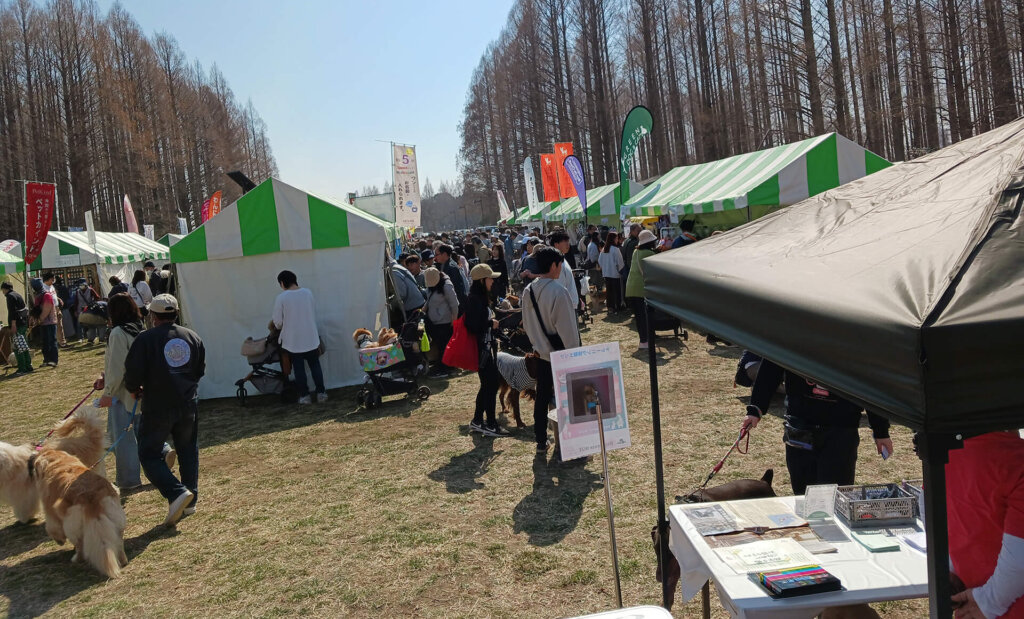 ドッグフェス　会場の様子