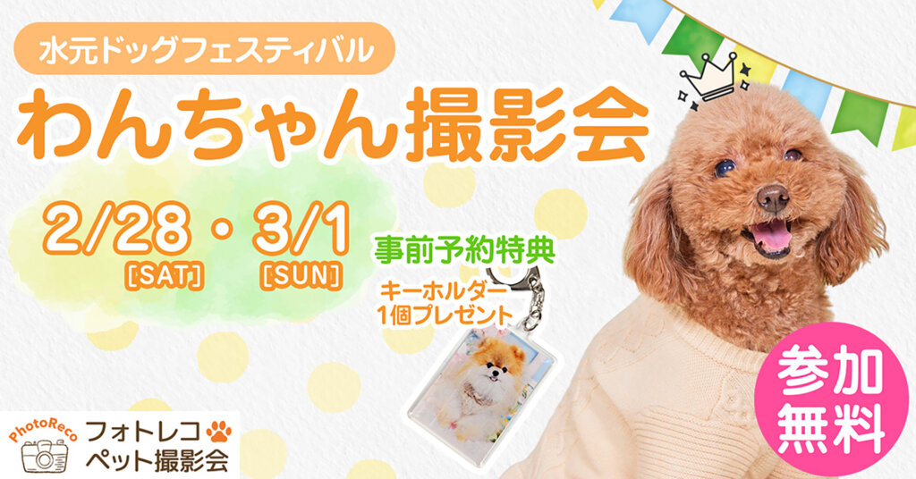 水元ドッグフェスティバル　わんちゃん撮影会　バナー