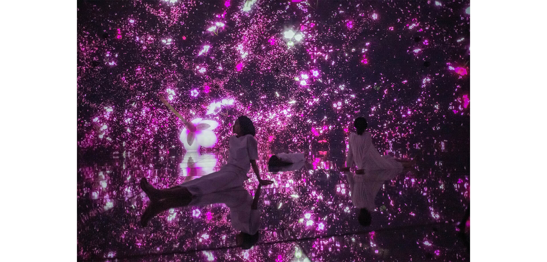 チームラボプラネッツ 桜