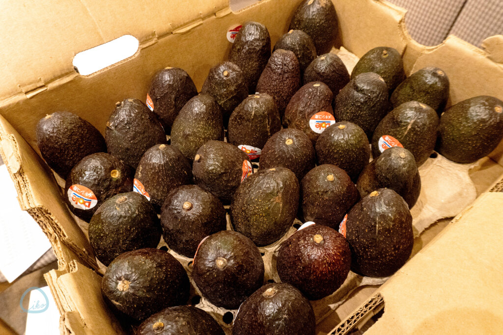 ダンボールに詰まったアボガド