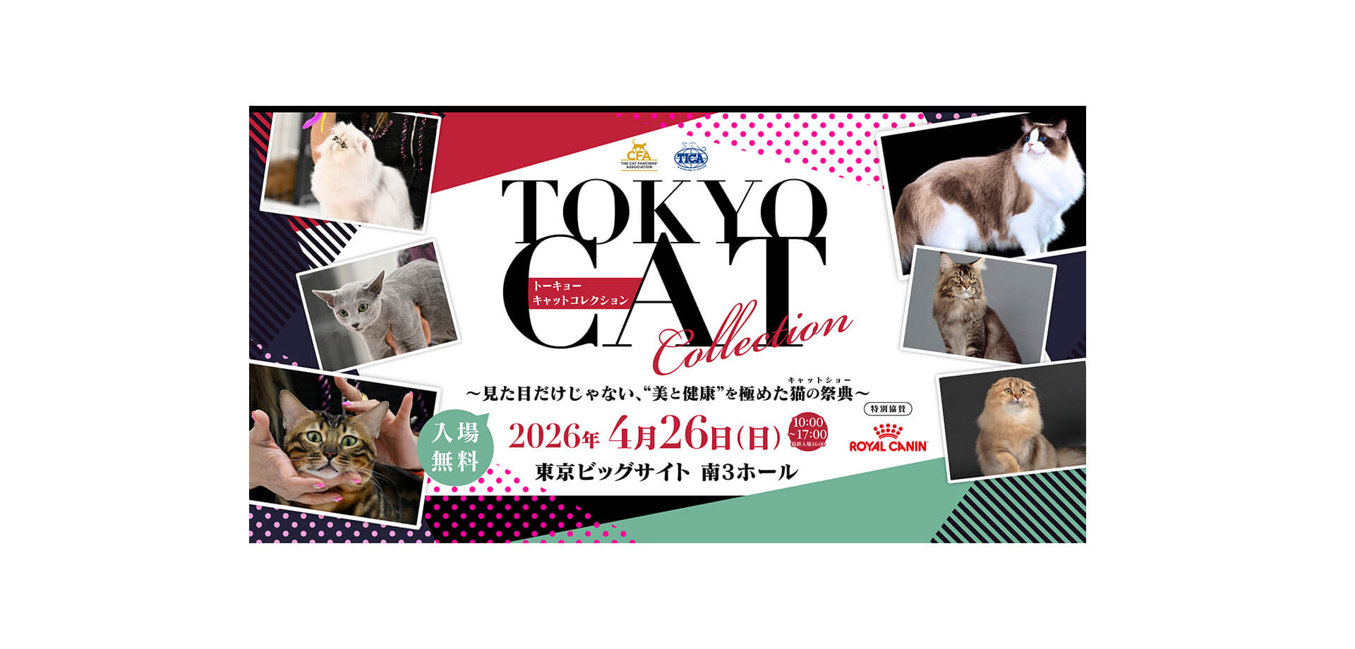 TOKYO CAT COLLECTION メインビジュアル
