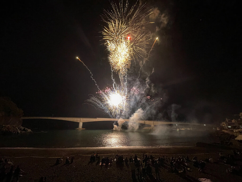 湖畔に打ち上がる花火