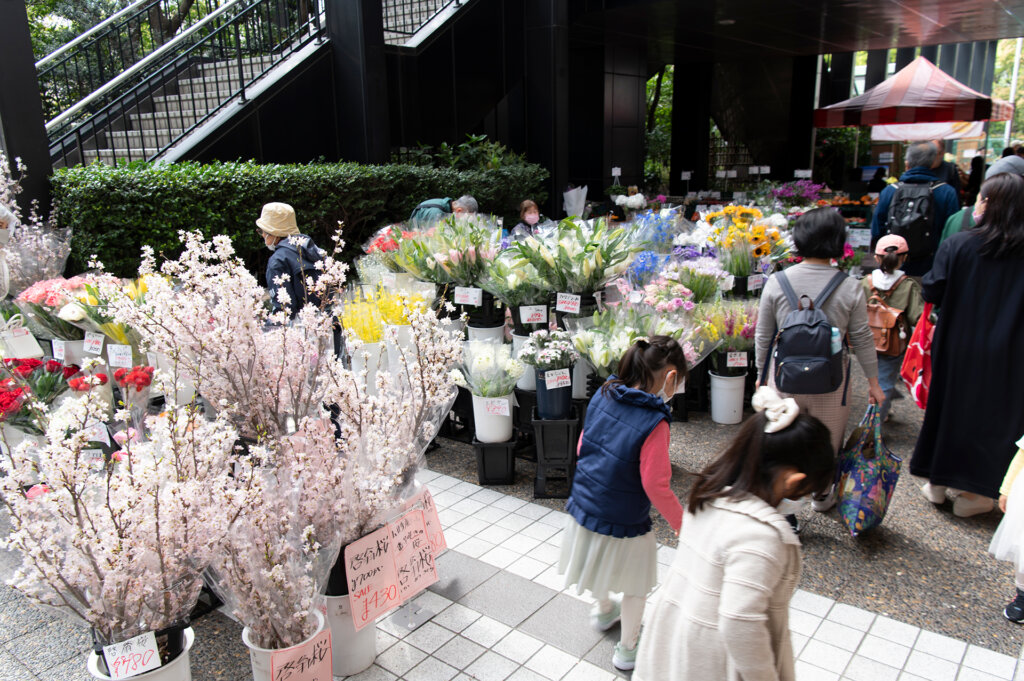 アークヒルズ さくらまつりの様子　花の販売