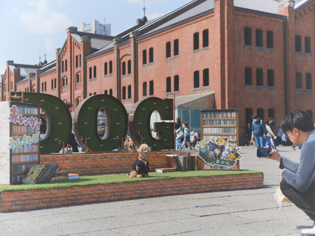 DOGのフォトスポット