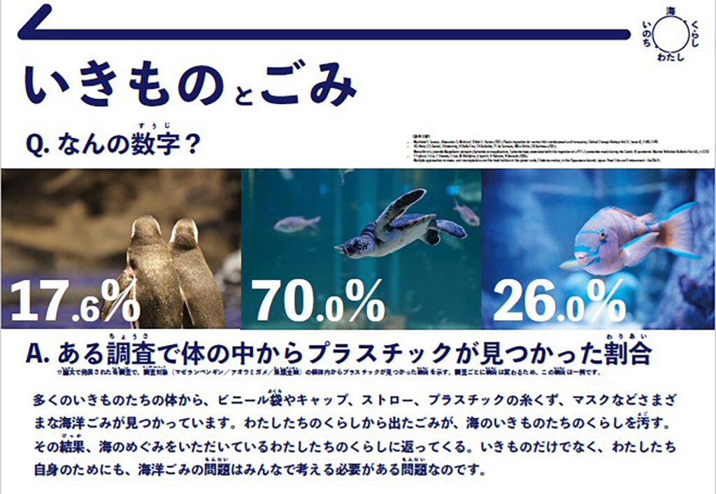 いきものとごみ