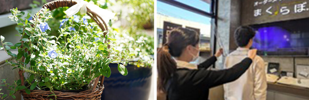 バスケットに入った植物、肩幅を測る女性