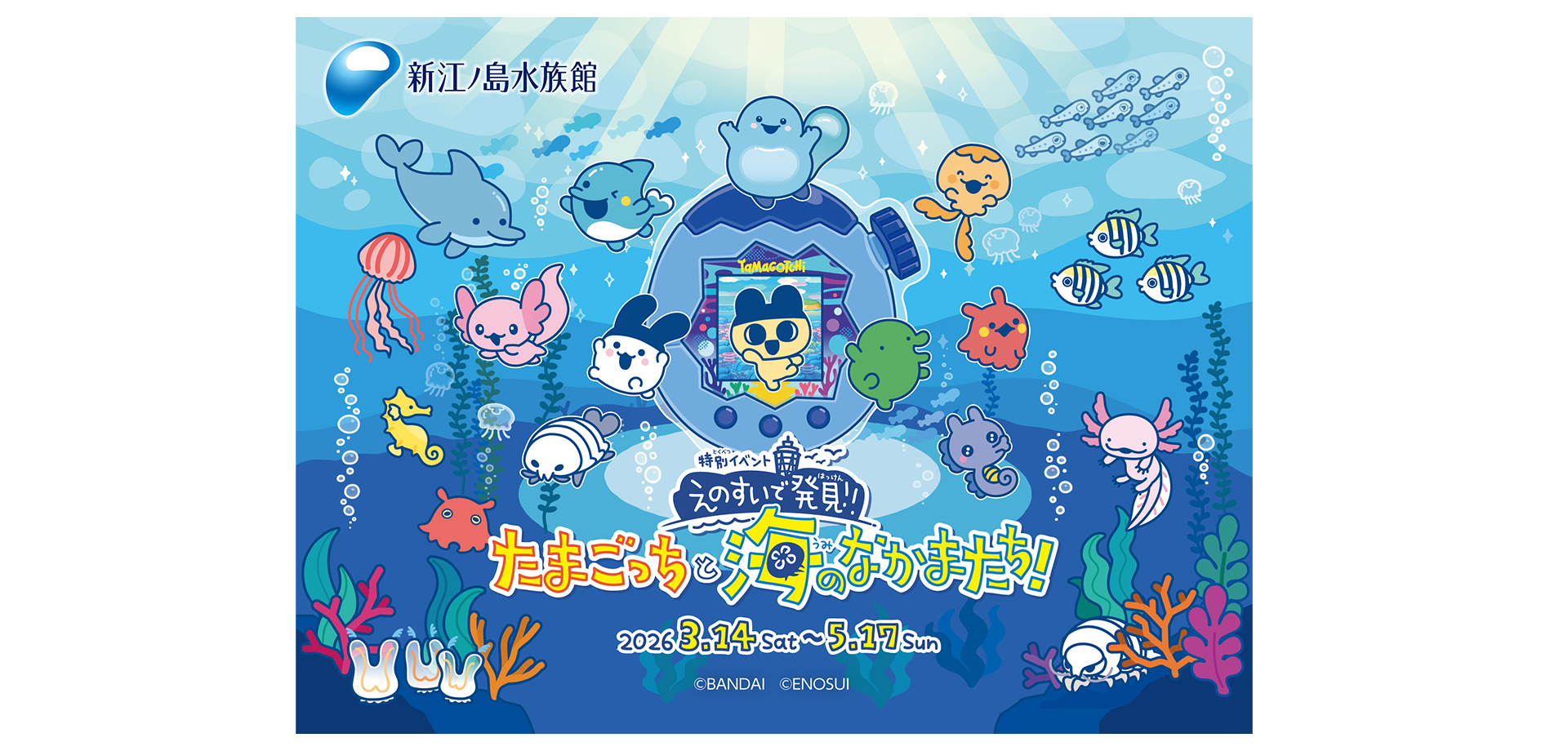 えのすいで発見!!たまごっちと海のなかまたち! メインビジュアル
