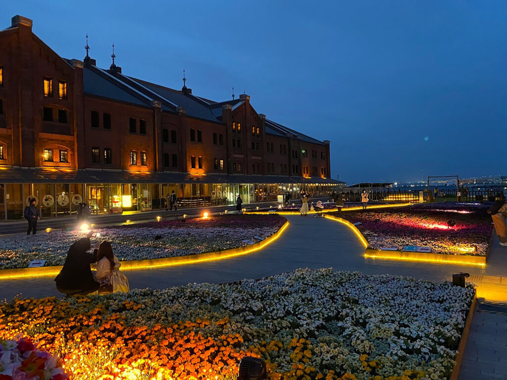 FLOWER GARDEN 夜のライトアップ風景