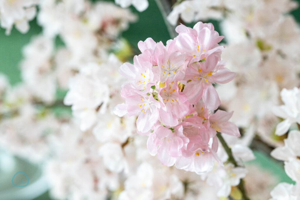 てんぼうパーク さくらまつり 造花の桜