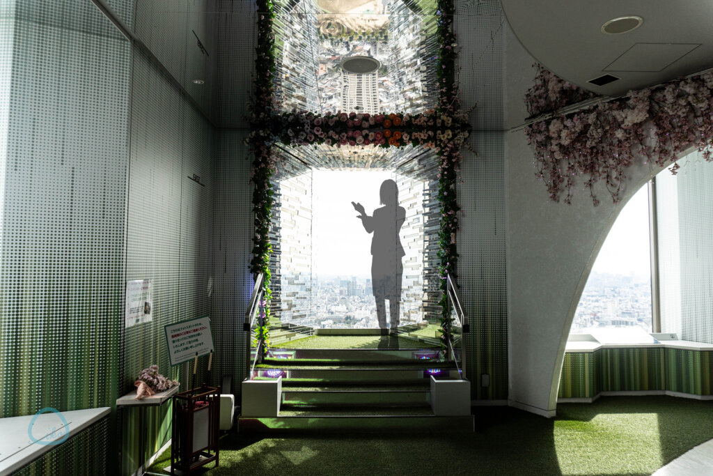 てんぼうパーク さくらまつり 会場風景