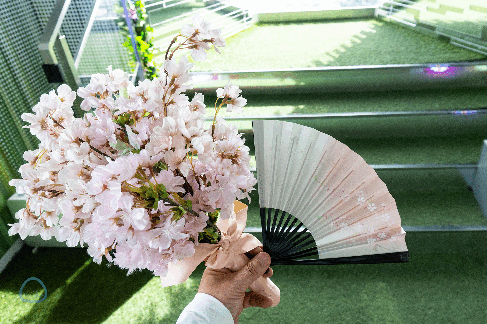 てんぼうパーク さくらまつり 撮影小物 傘