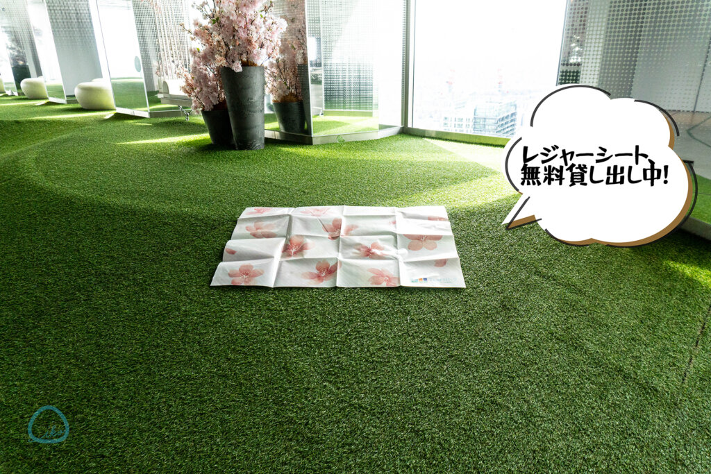 てんぼうパーク さくらまつり レジャーシート