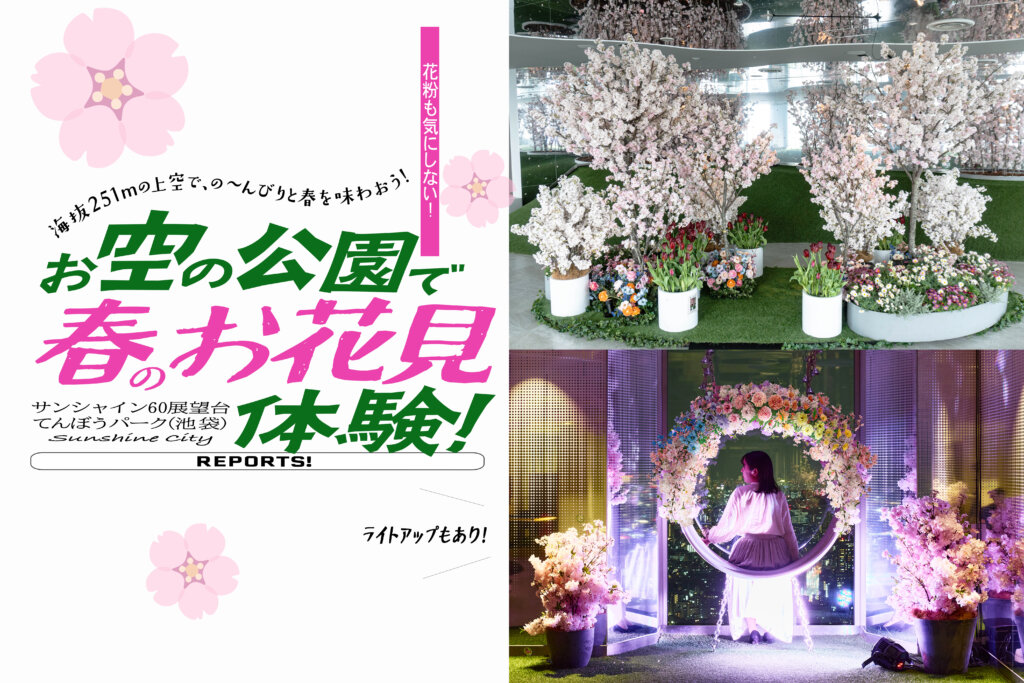 てんぼうパーク さくらまつり メインビジュアル