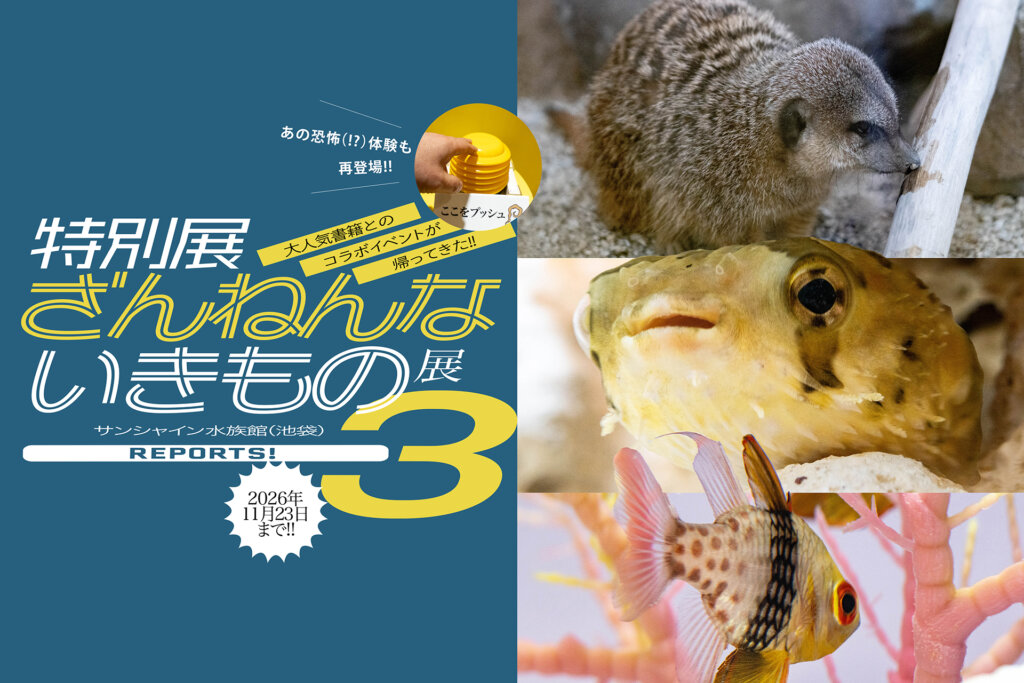 ざんねんないきもの展3　メインビジュアル