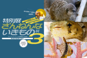 ざんねんないきもの展3　メインビジュアル