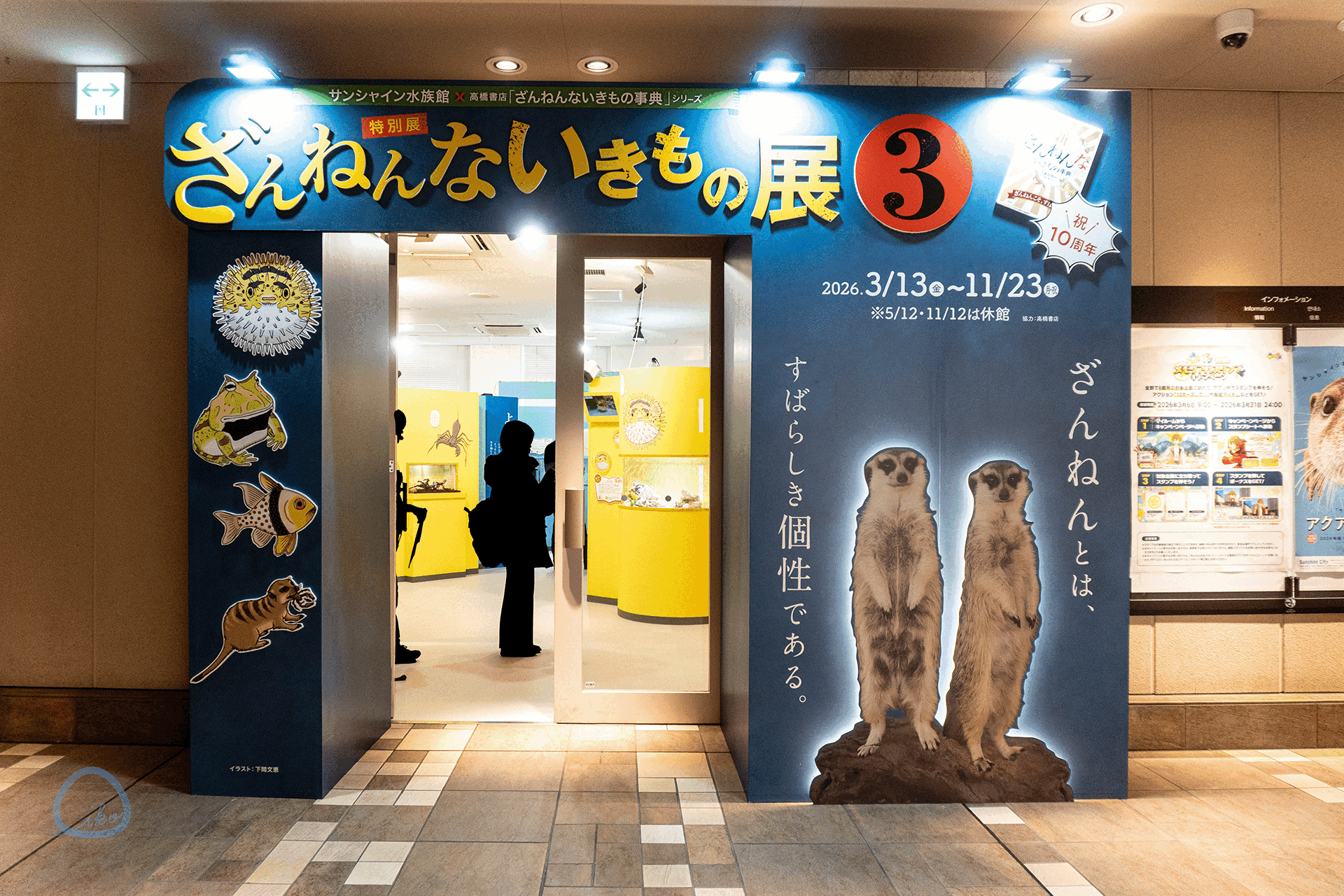 ざんねんないきもの展3　会場風景