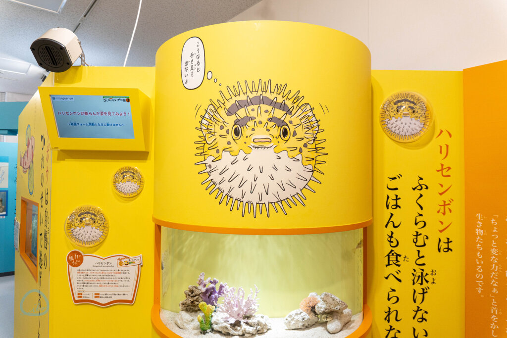 ざんねんないきもの展3　展示風景