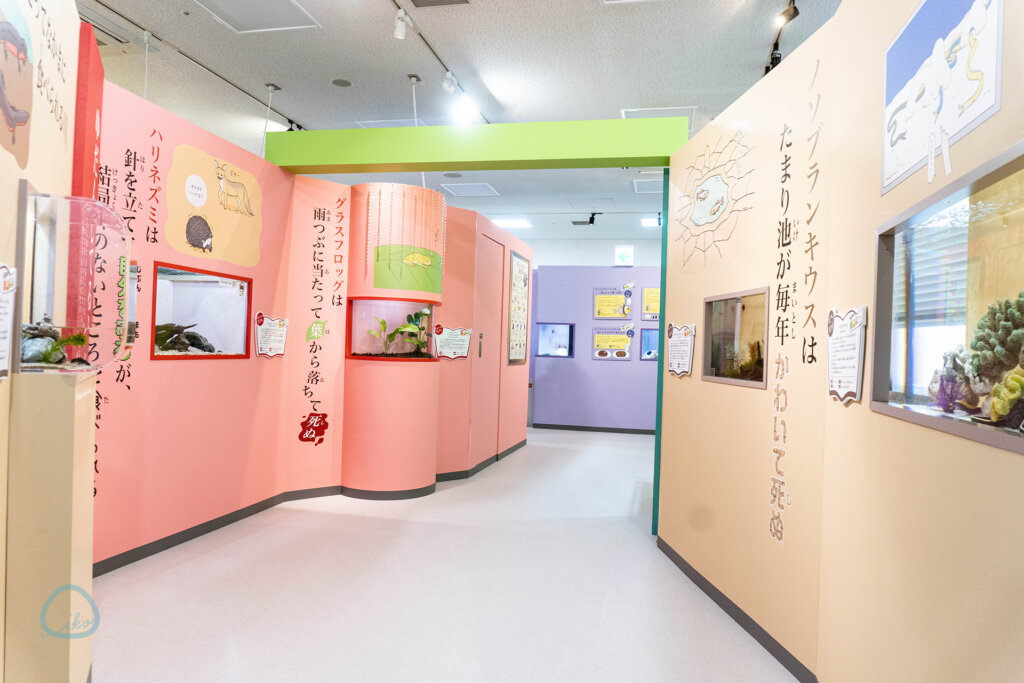 ざんねんないきもの展3　会場風景