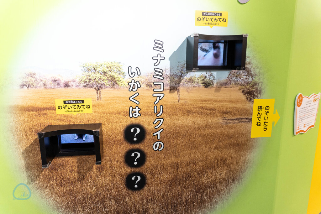 ミナミコアリクイのモニター