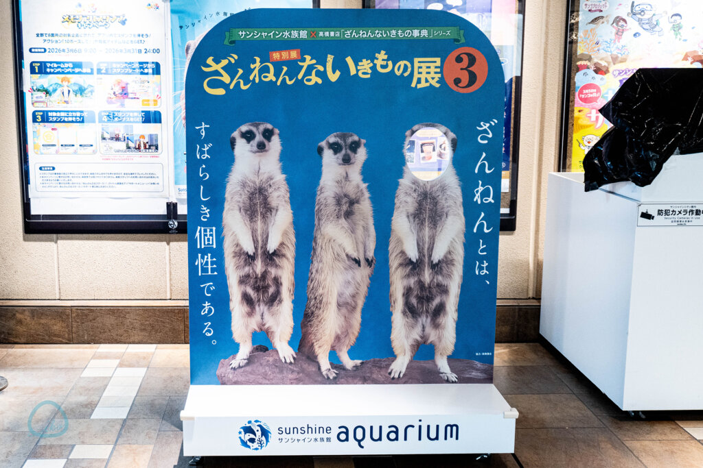 ざんねんないきもの展　顔出しパネル