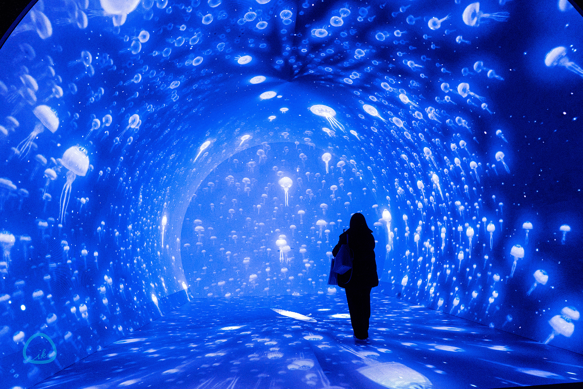 ワンダリア　会場風景