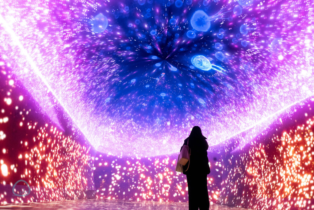 ワンダリア　会場風景