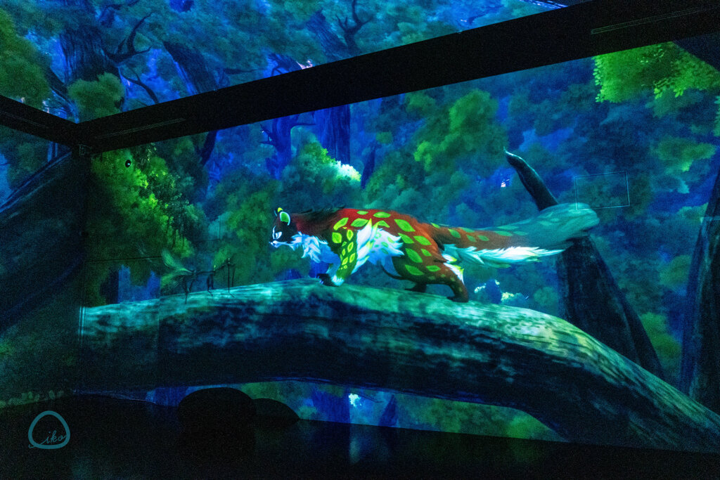 ワンダリア　会場風景