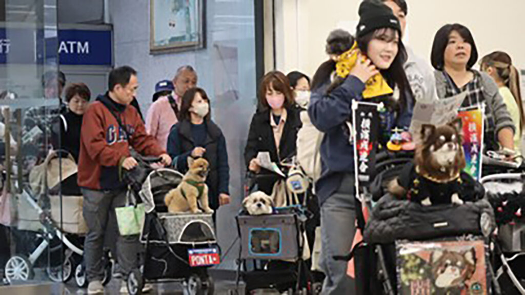 愛犬連れで来店する客