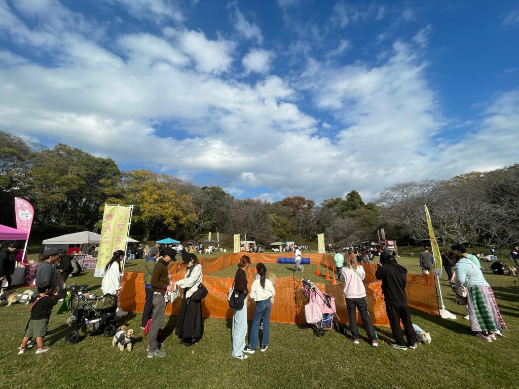公園で開催のドッグラン