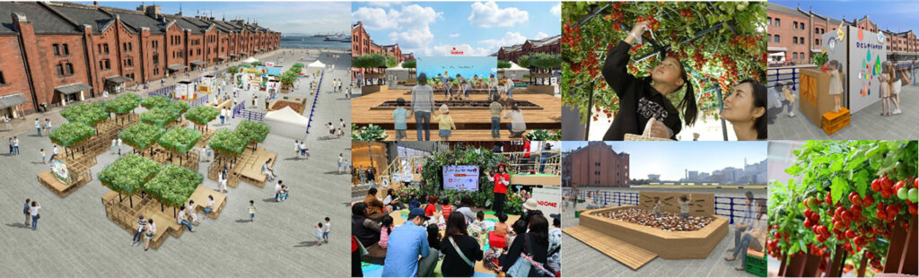 不思議の畑とトマトの樹　会場風景