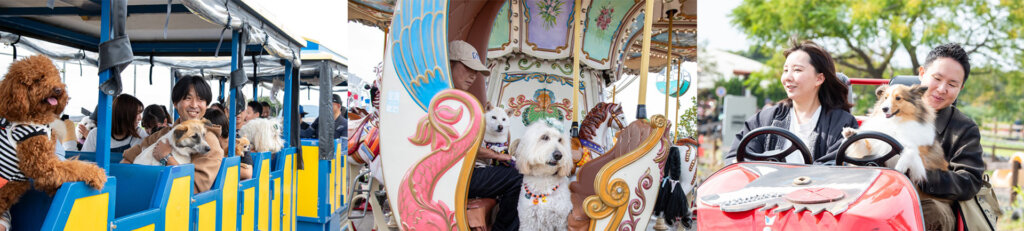 犬と一緒に遊具に乗る飼い主