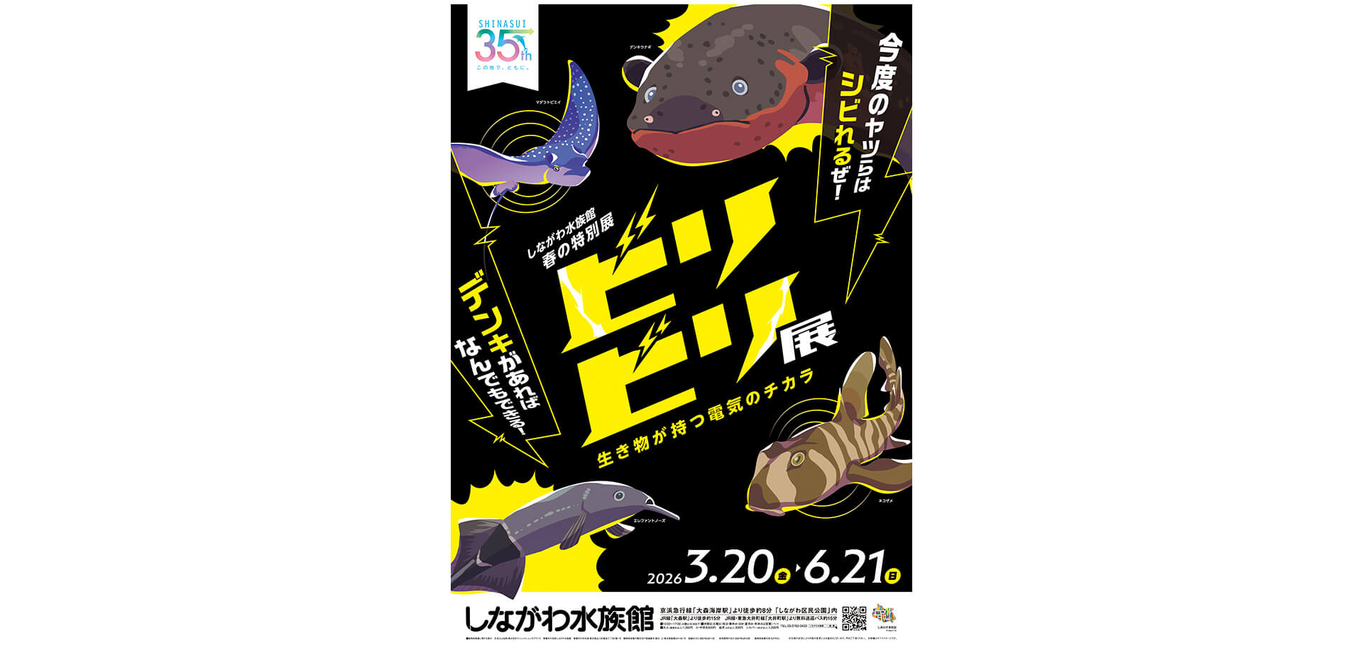 ビリビリ展　チラシ