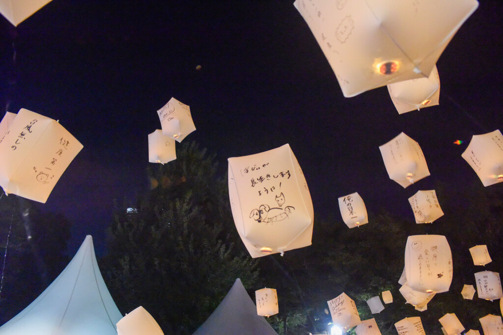 スカイランタン打ち上げ風景