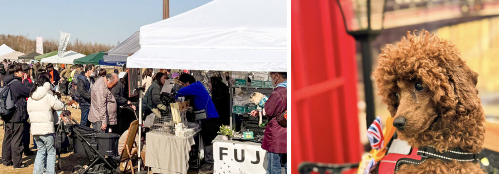 毛並みのいいロンドン犬とブースに集う人々