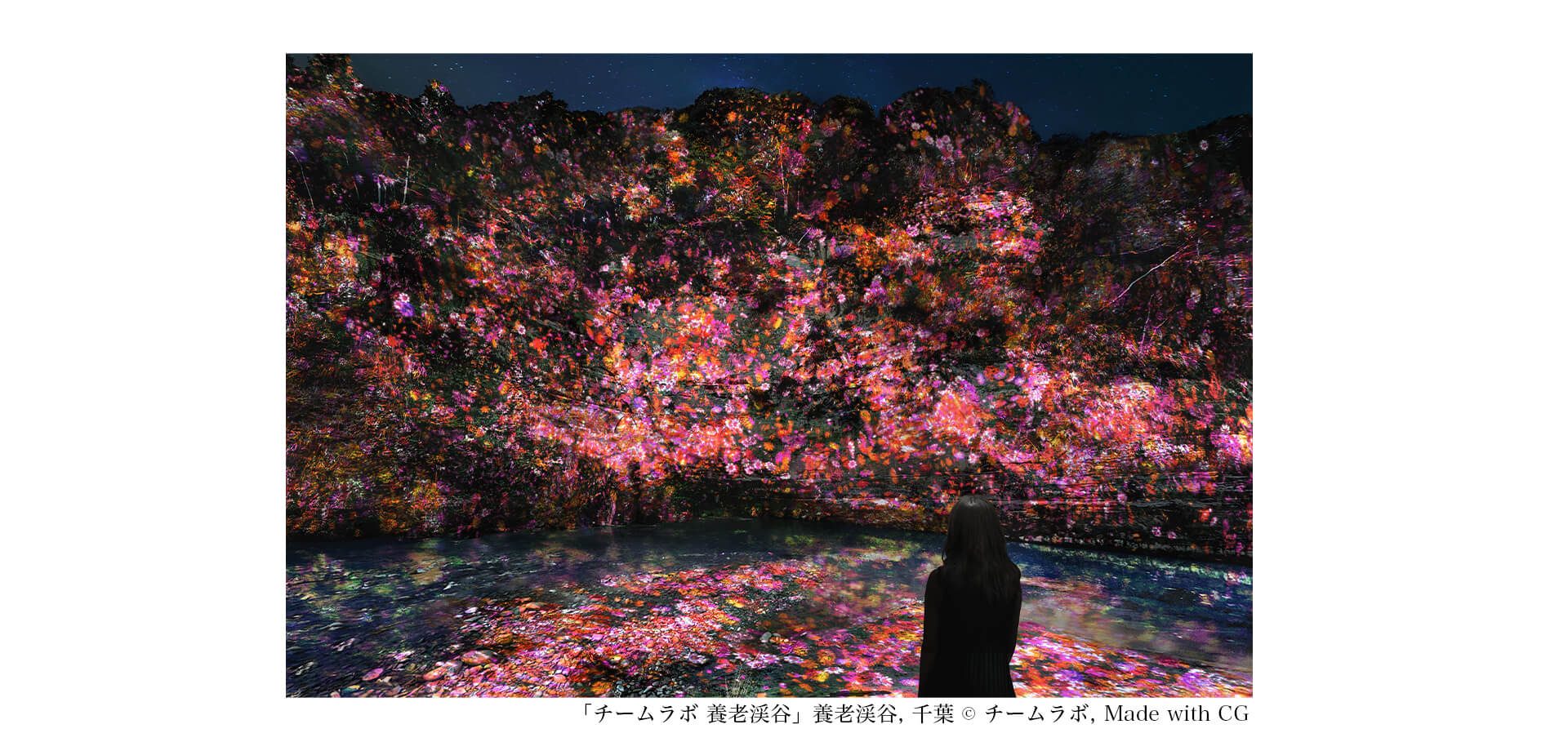 チームラボ 養老渓谷 会場風景