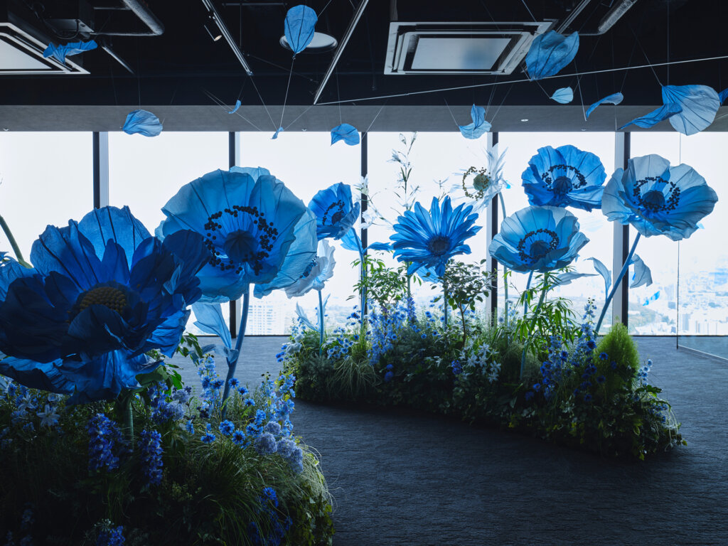 展望台に咲く、青い大きな花