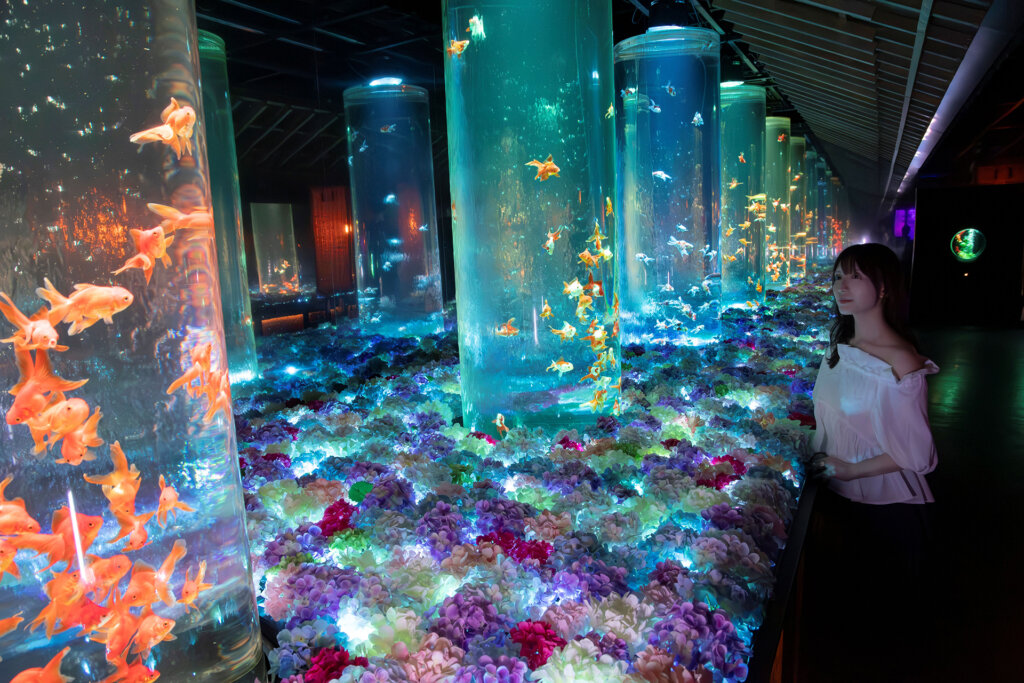 アートアクアリウムを鑑賞する女性