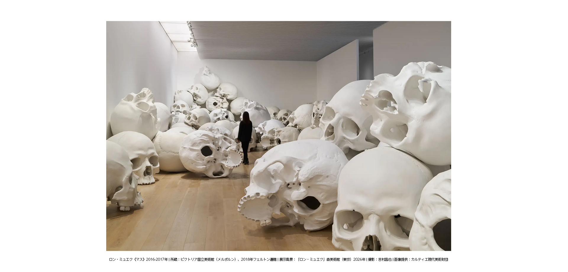 「ロン・ミュエク」展 展示作品　骸骨