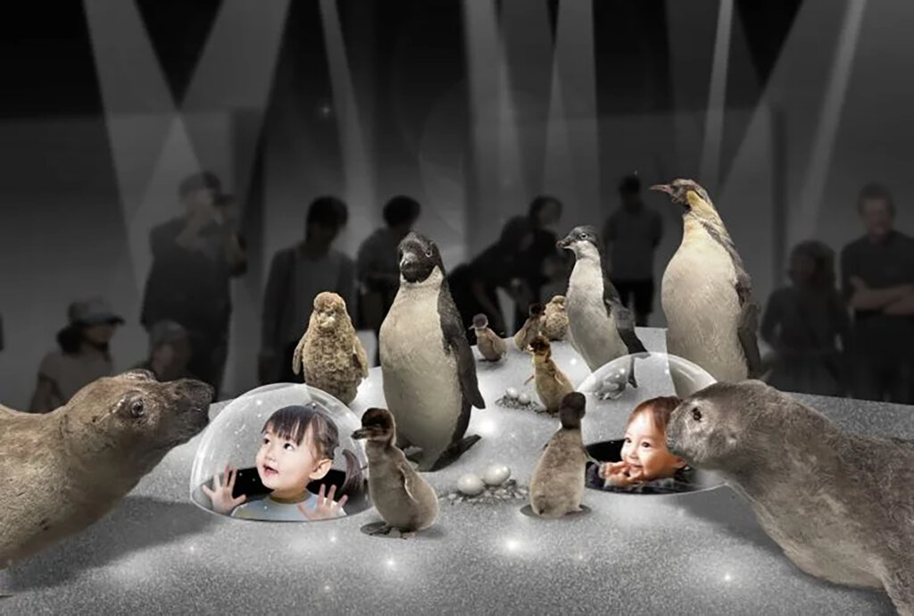 特別展「大南極展」 展示風景　ペンギン体験