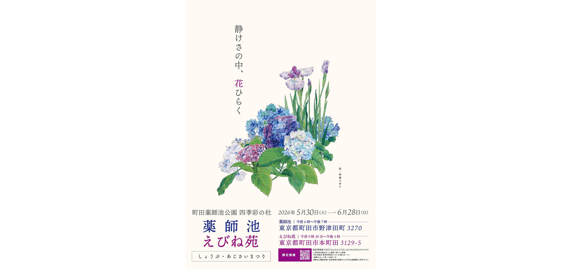 町田薬師池公園四季彩の杜 はなしょうぶまつりポスター